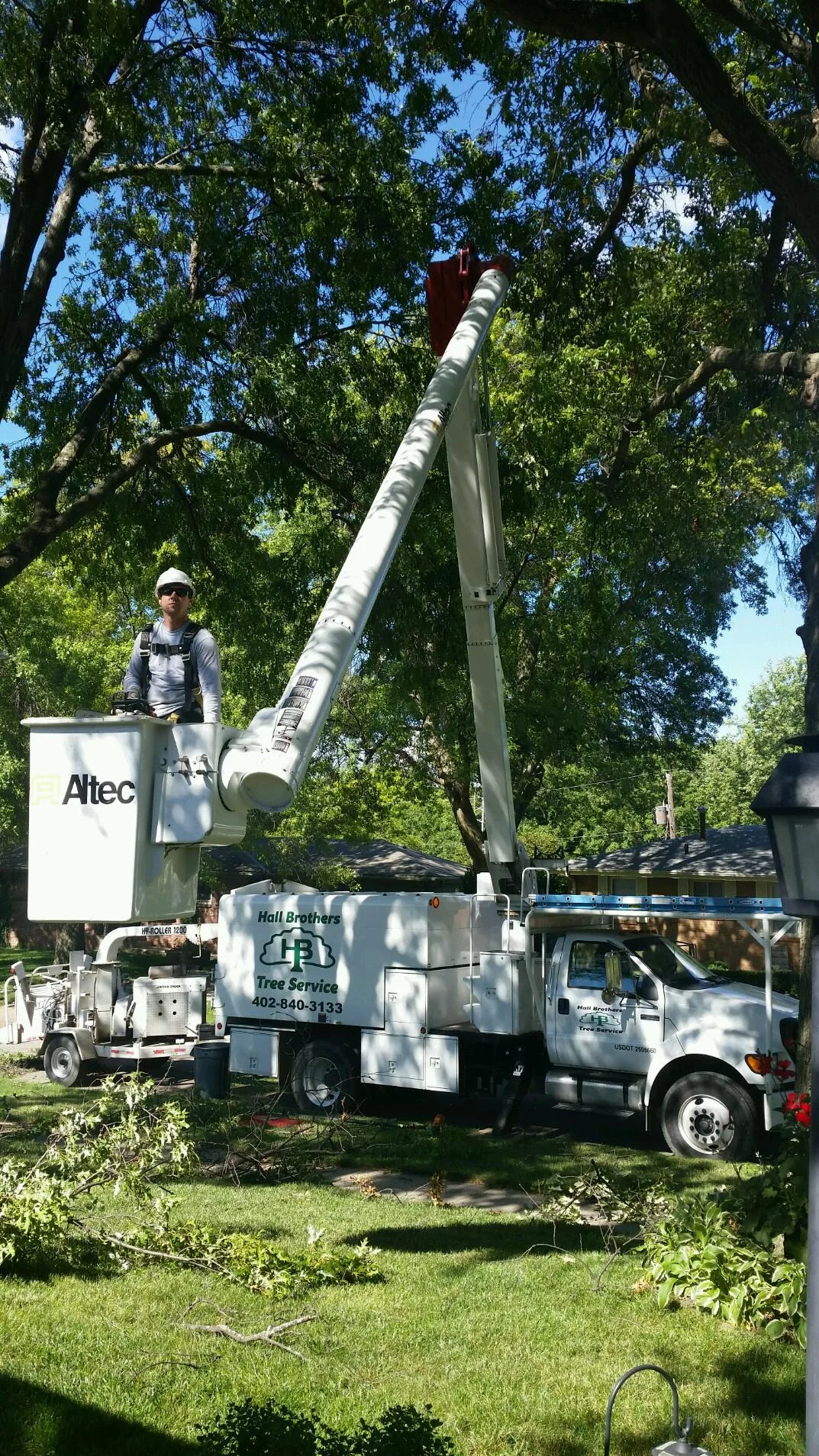Tree Trimming — Hall Brothers Tree Service