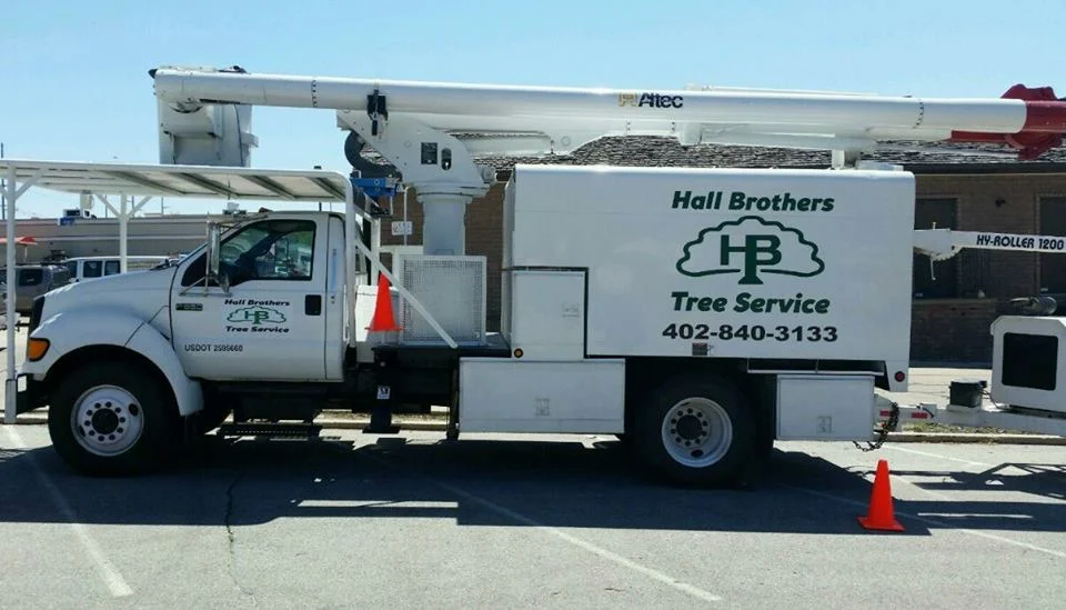 Tree Removal — Hall Brothers Tree Service