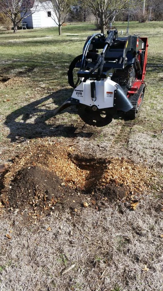Stump Grinding — Hall Brothers Tree Service